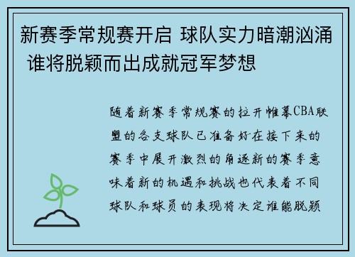 新赛季常规赛开启 球队实力暗潮汹涌 谁将脱颖而出成就冠军梦想