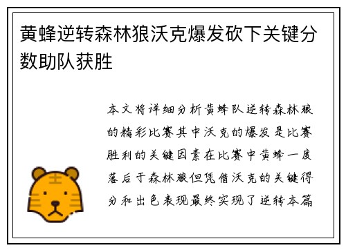 黄蜂逆转森林狼沃克爆发砍下关键分数助队获胜