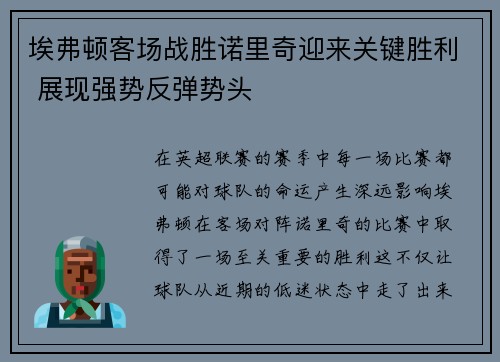 埃弗顿客场战胜诺里奇迎来关键胜利 展现强势反弹势头