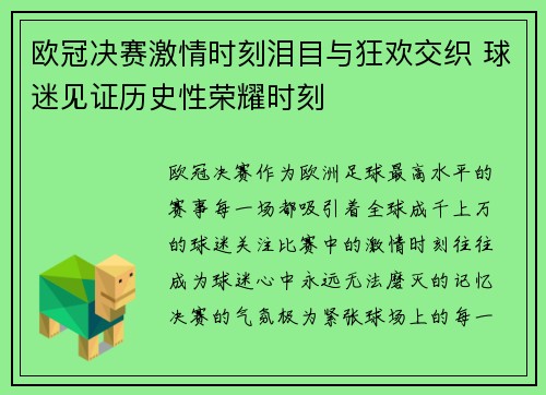 欧冠决赛激情时刻泪目与狂欢交织 球迷见证历史性荣耀时刻